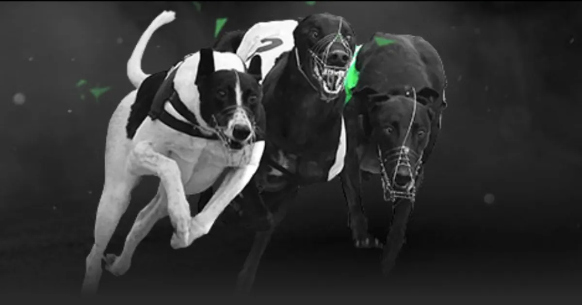 比利时遭遇,乌克兰逆转,创自年以来,ag百家乐,百家乐官网,澳门百家乐,百家乐